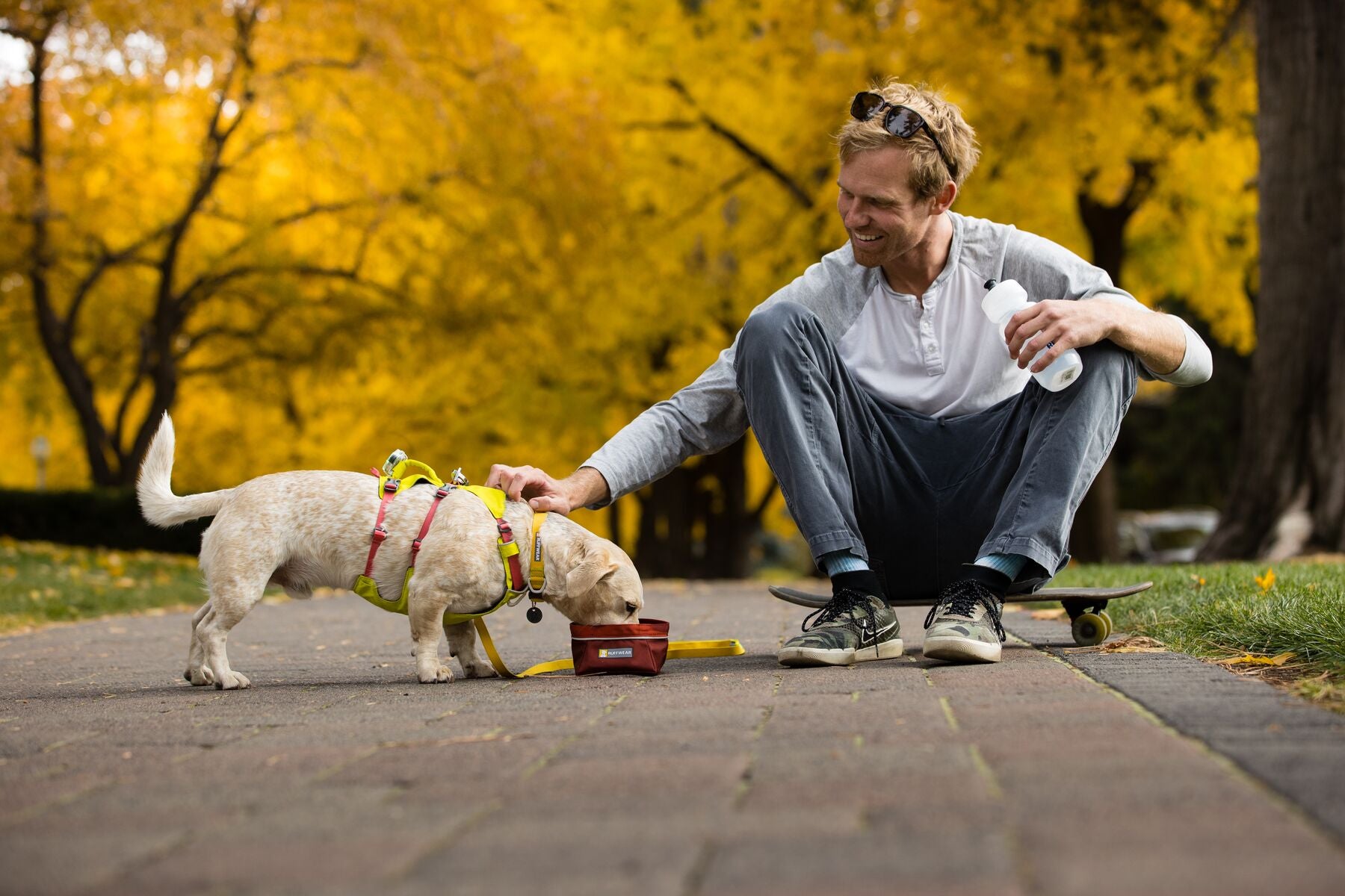 The ultralight Ruffwear Hi & Light minimalist dog collar showing its strong side-release buckle and aluminum D-ring