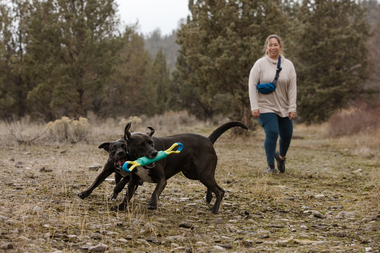 Ruffwear Pacific Loop Dog Toy