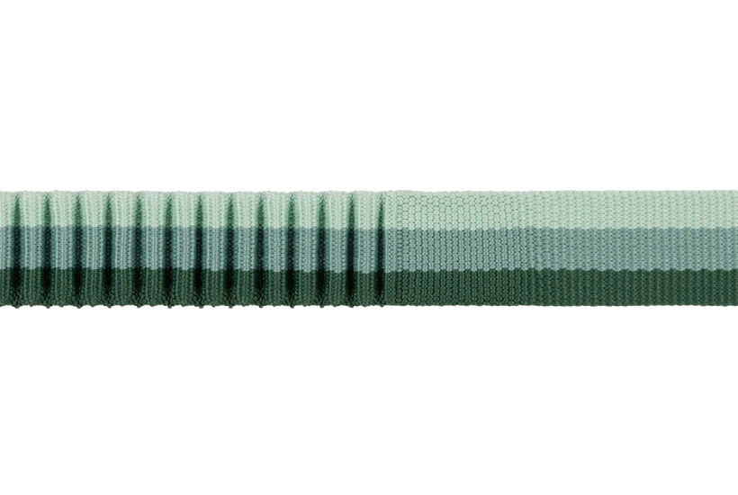 Ruffwear Roamer Bungee Dog Leash