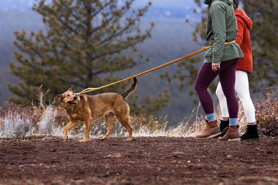 Ruffwear Roamer Bungee Dog Leash