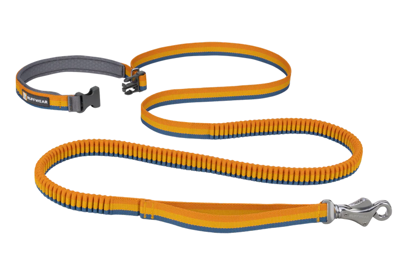 Ruffwear Roamer Bungee Dog Leash