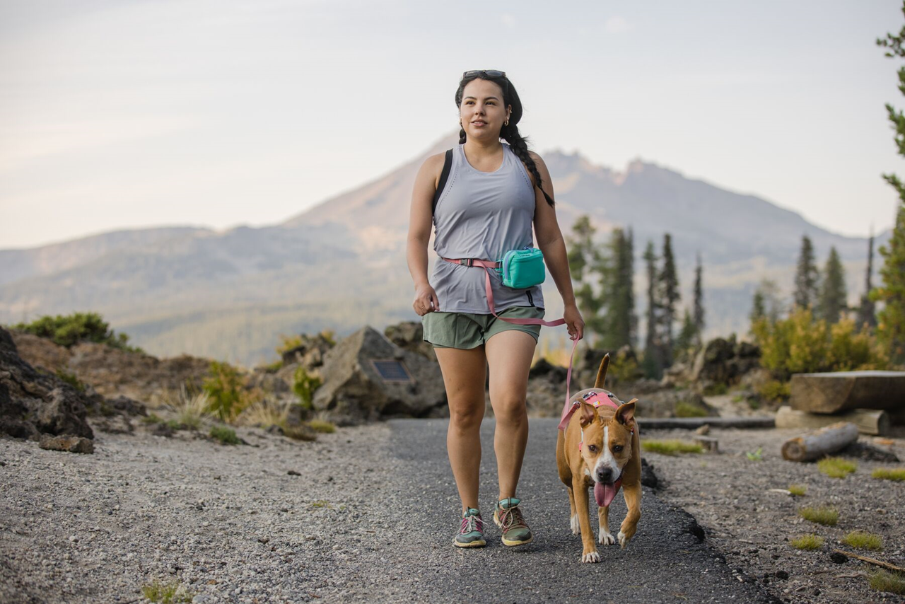 Ruffwear Pickup Bag Dispenser, Stash Bag Plus