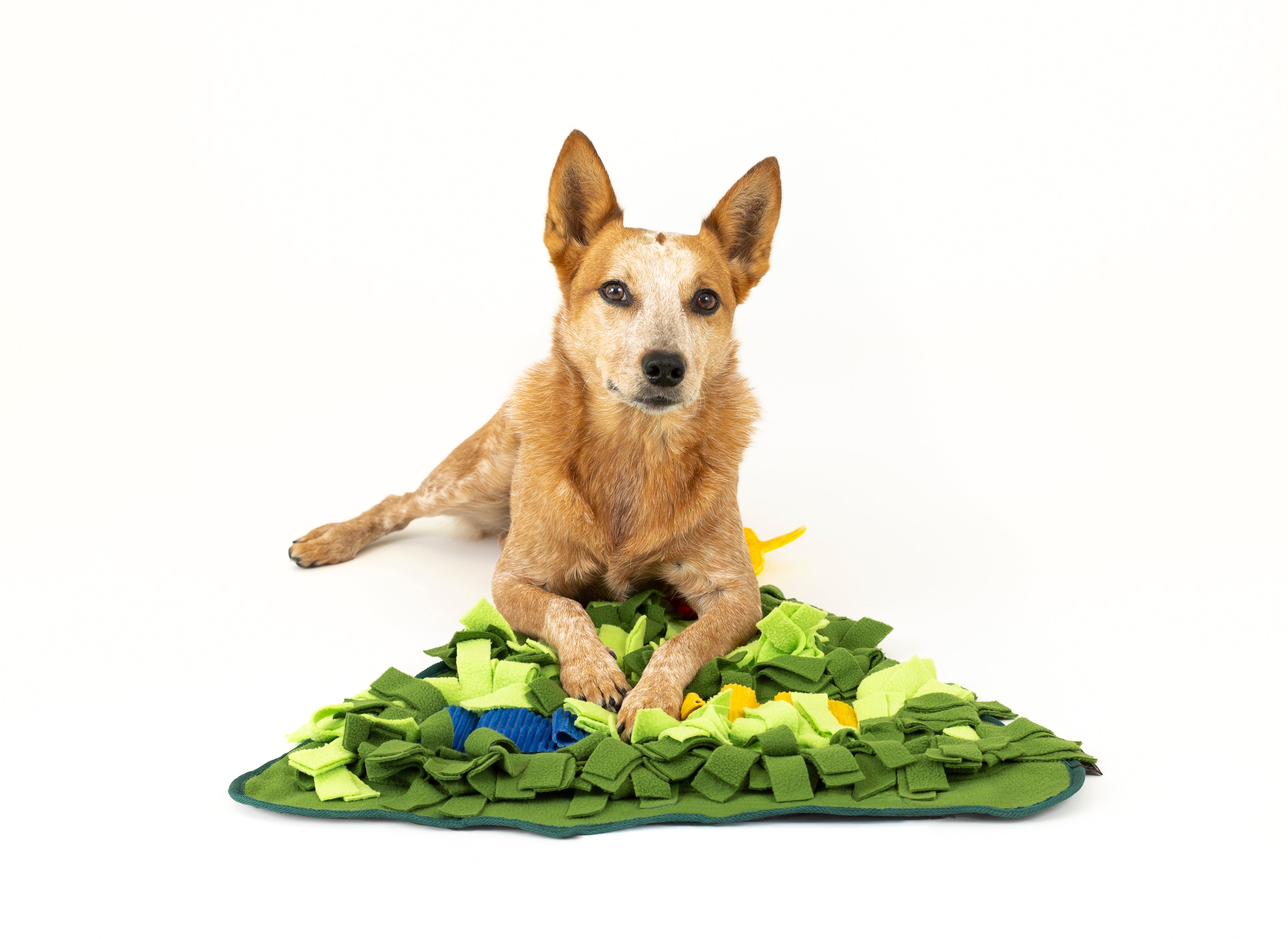 Snuffle Mat Toy for Dogs and Cats, Holiday