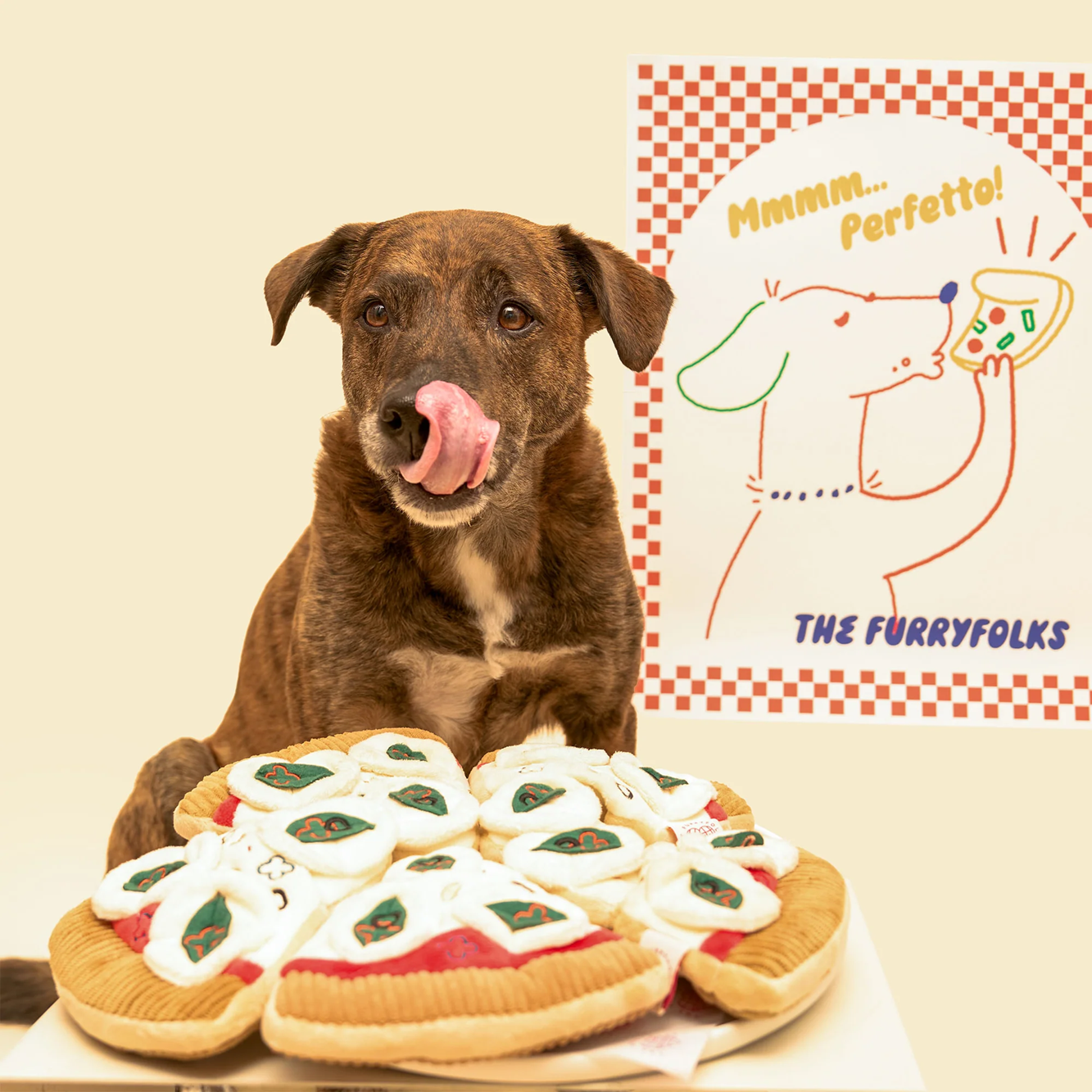 Squeaky Interactive Nosework Dog Toy, Pizza