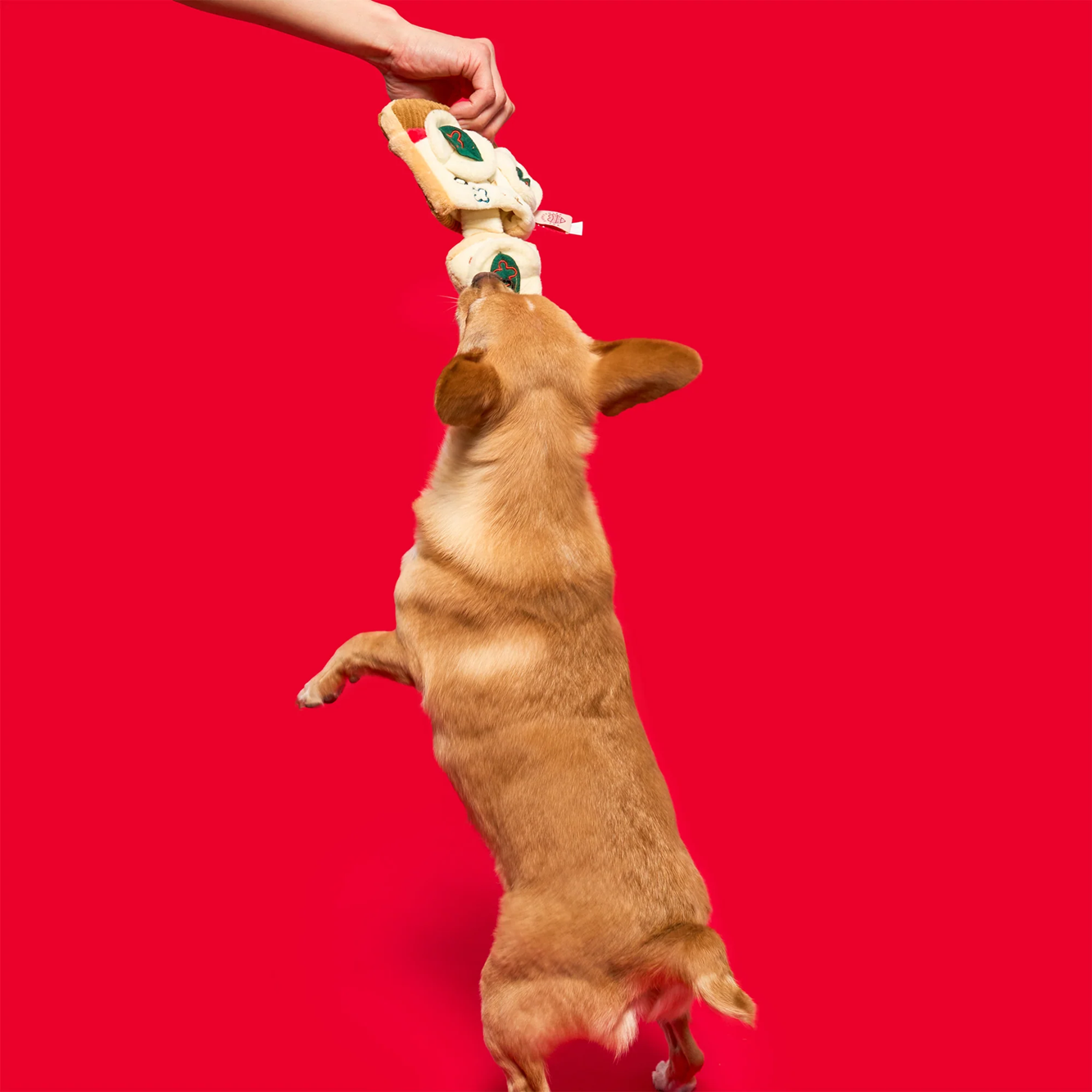 Squeaky Interactive Nosework Dog Toy, Pizza