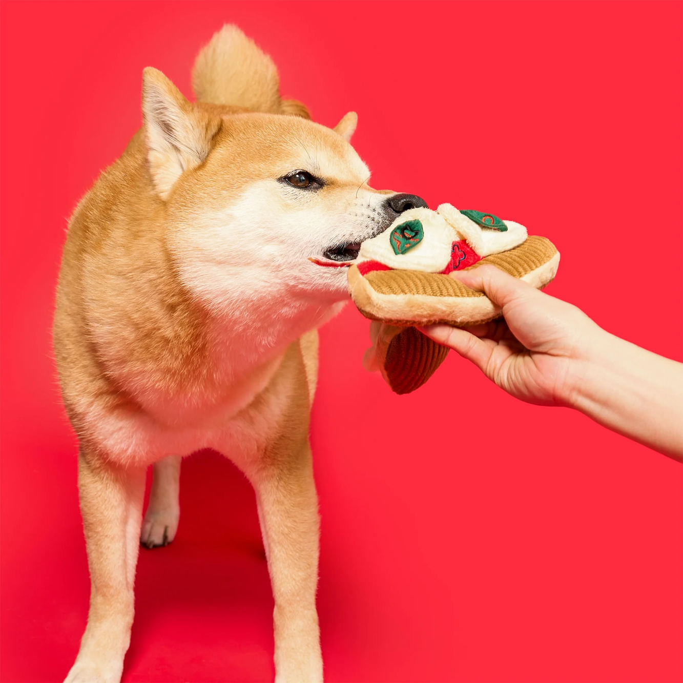 Squeaky Interactive Nosework Dog Toy, Pizza
