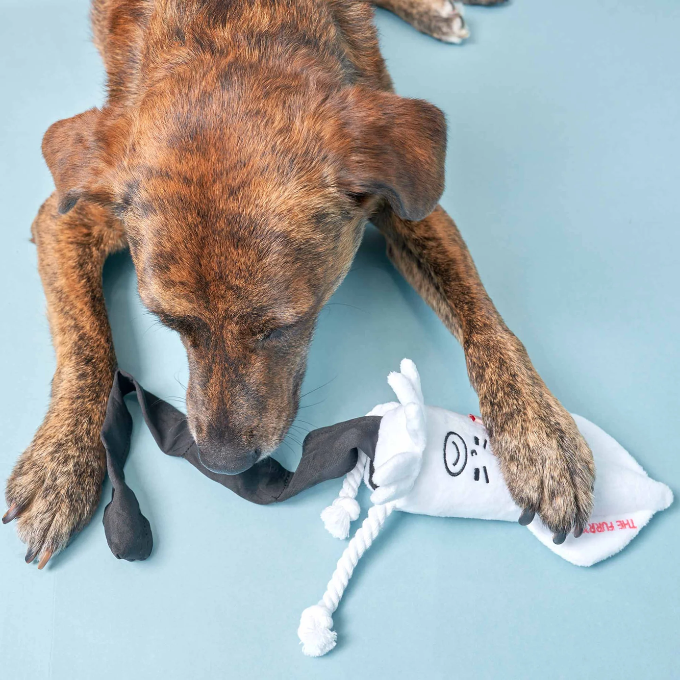 Squeaky Interactive Nosework Dog Toy, Uncle Calamari