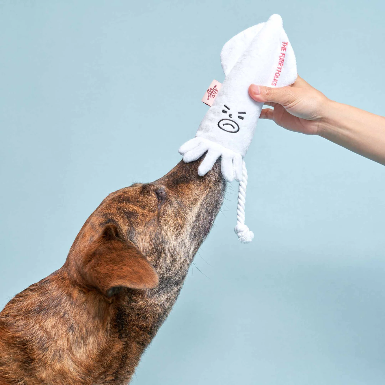 Squeaky Interactive Nosework Dog Toy, Uncle Calamari
