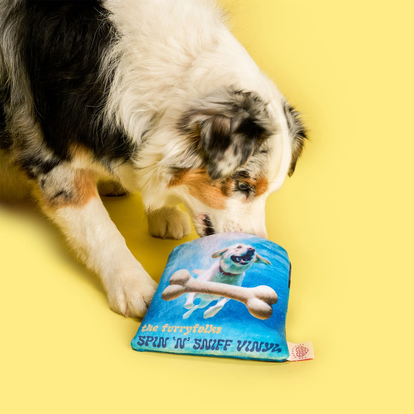 Squeaky Interactive Nosework Dog Toy, Vinyl