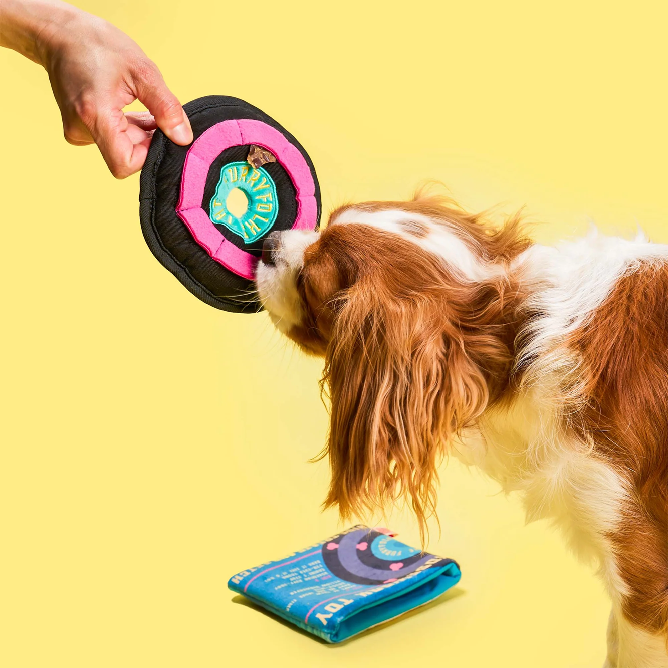 Squeaky Interactive Nosework Dog Toy, Vinyl