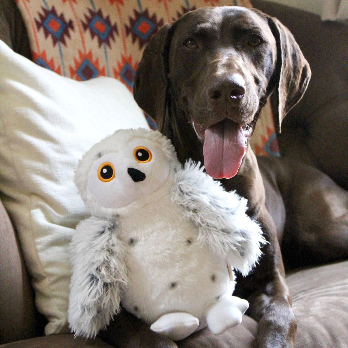 Squeaky Plush Dog Toy: Animated Snow Owl