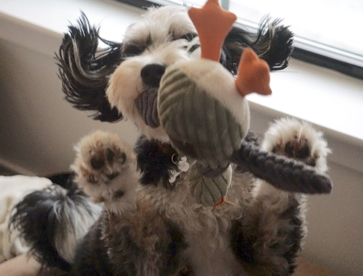 Squeaky Plush Dog Toy: Duck Latex