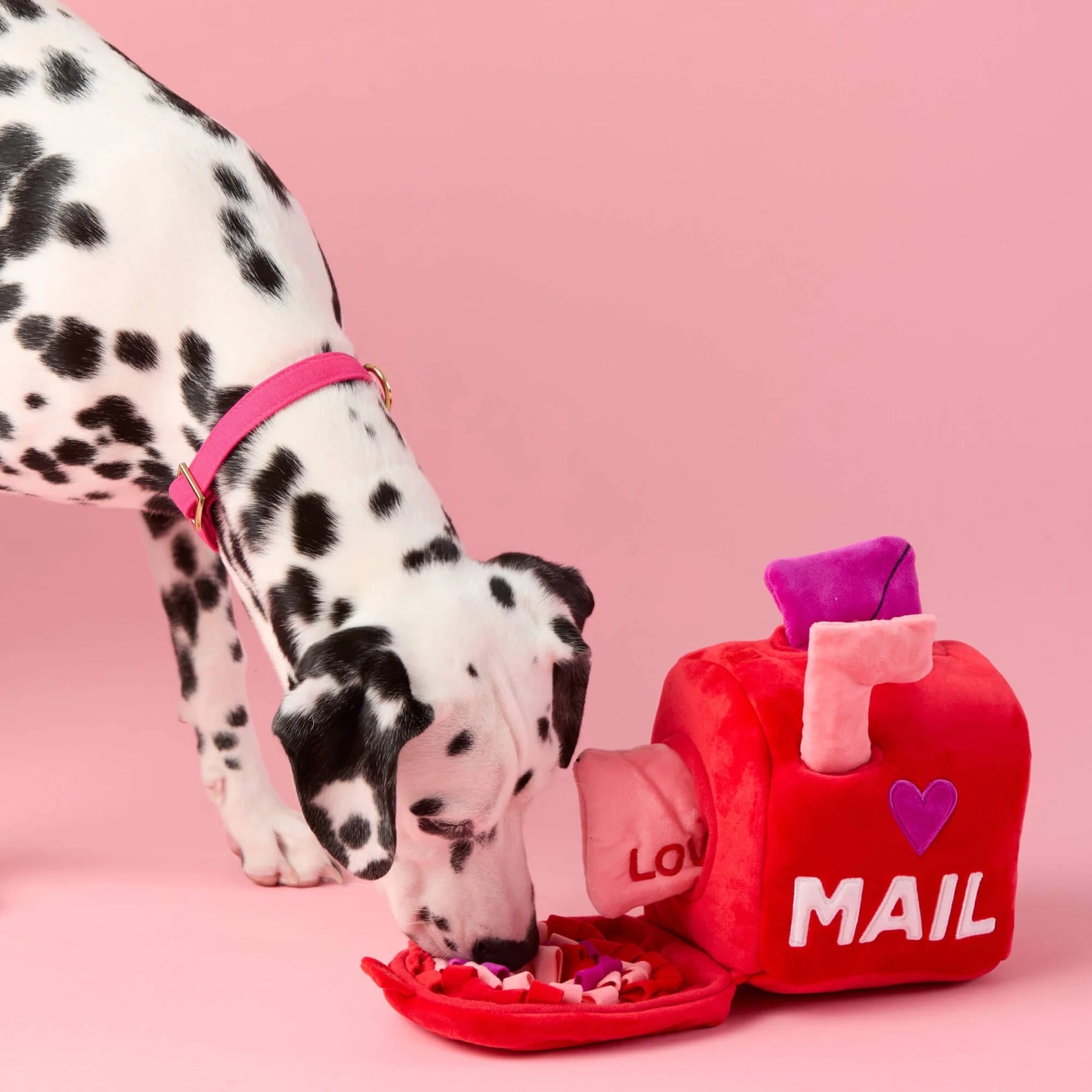 Squeaky Plush Interactive Snuffle Dog Toy, Love Letters