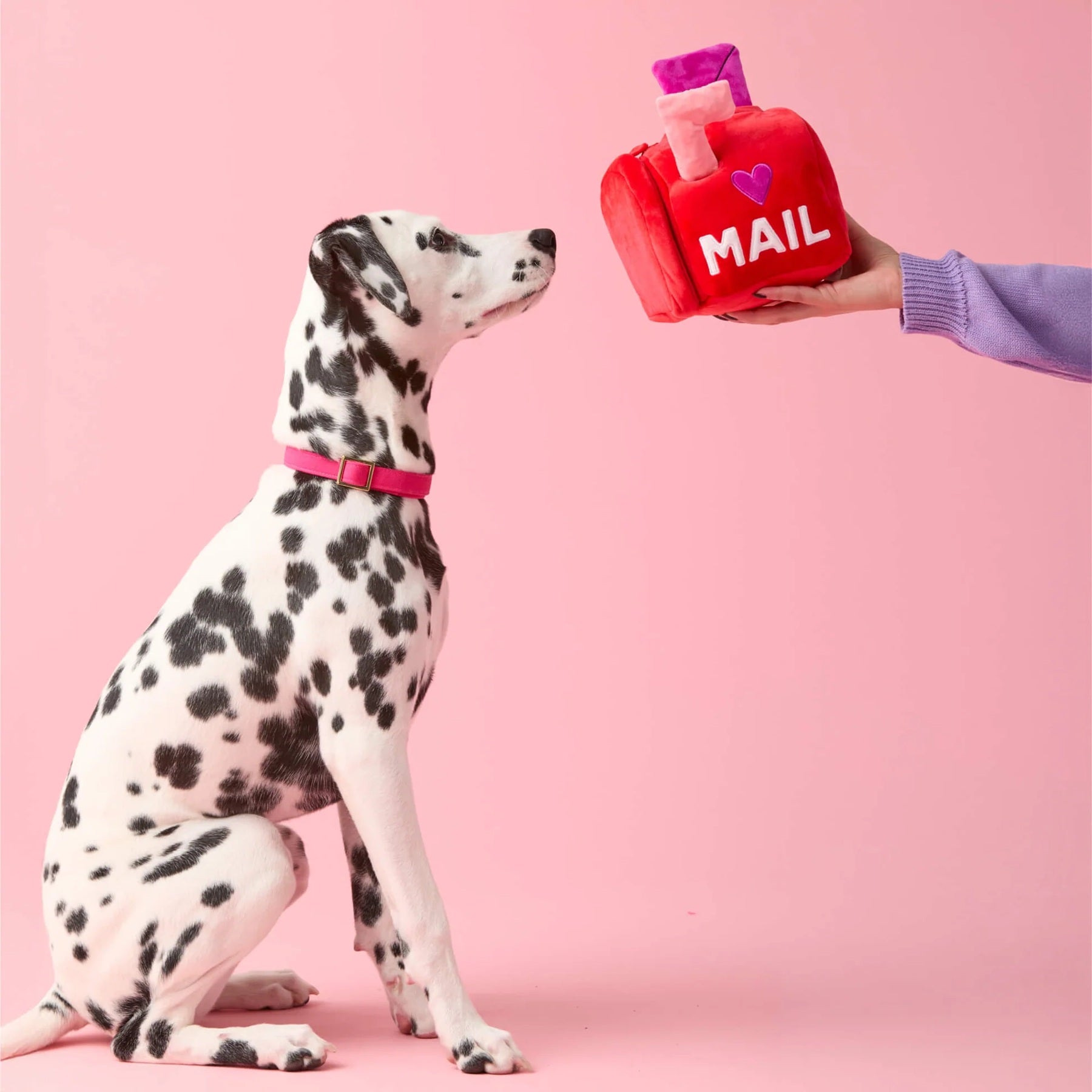 Squeaky Plush Interactive Snuffle Dog Toy, Love Letters