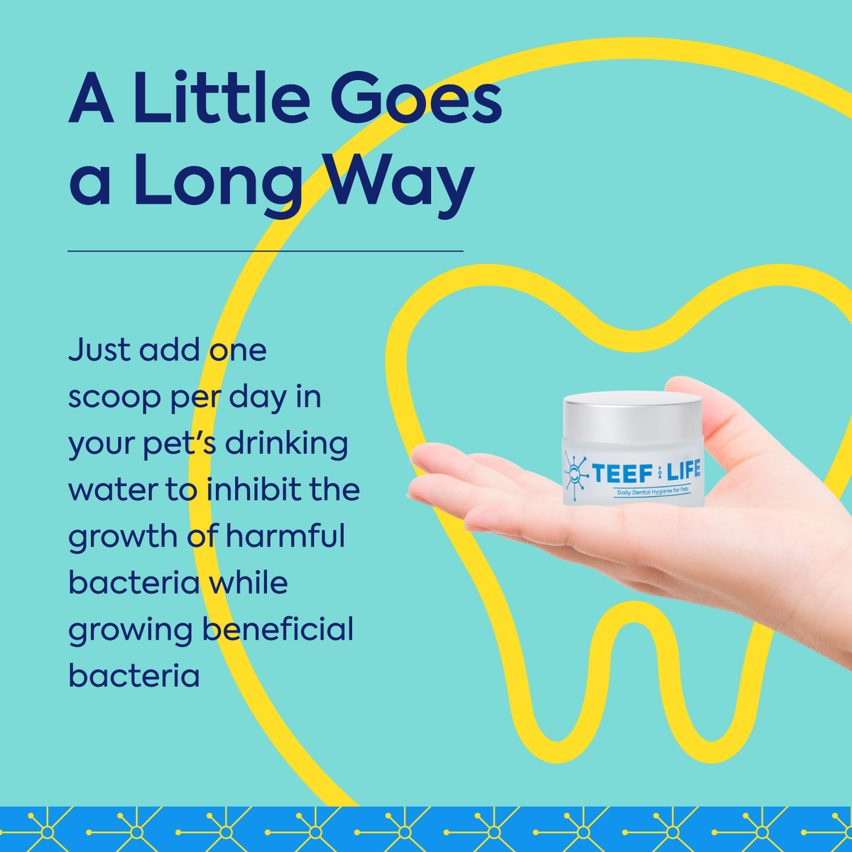TEEF for Life Protektin42 prebiotic dental powder kit for dogs. Vegan water additive for canine oral health.