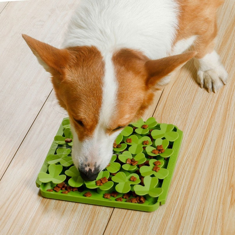 Interactive Food-Grade Foraging Mat for Dogs, Clover