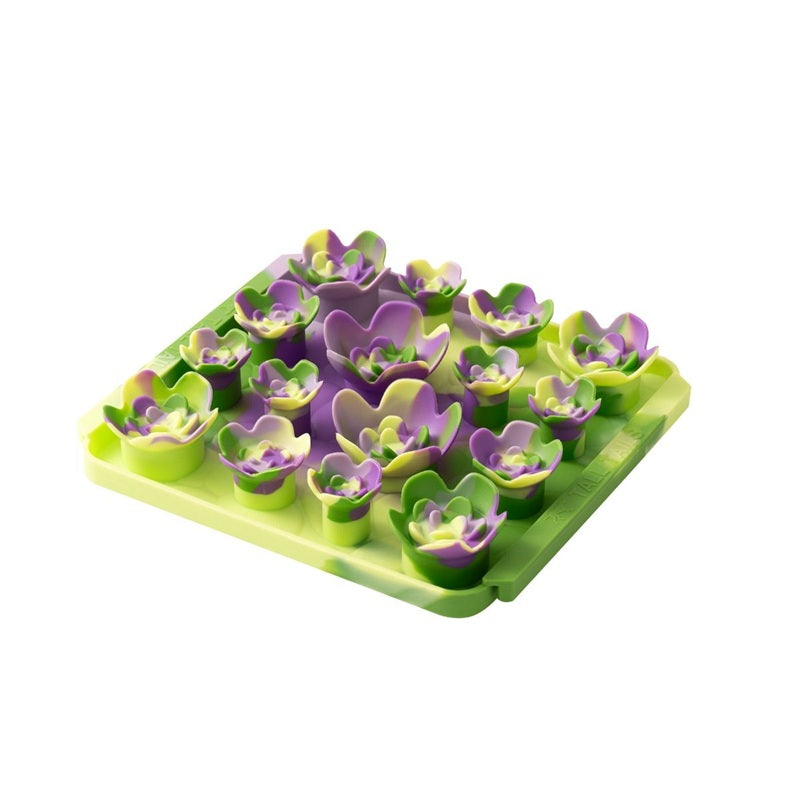 Interactive Food-Grade Foraging Mat for Dogs, Succulent