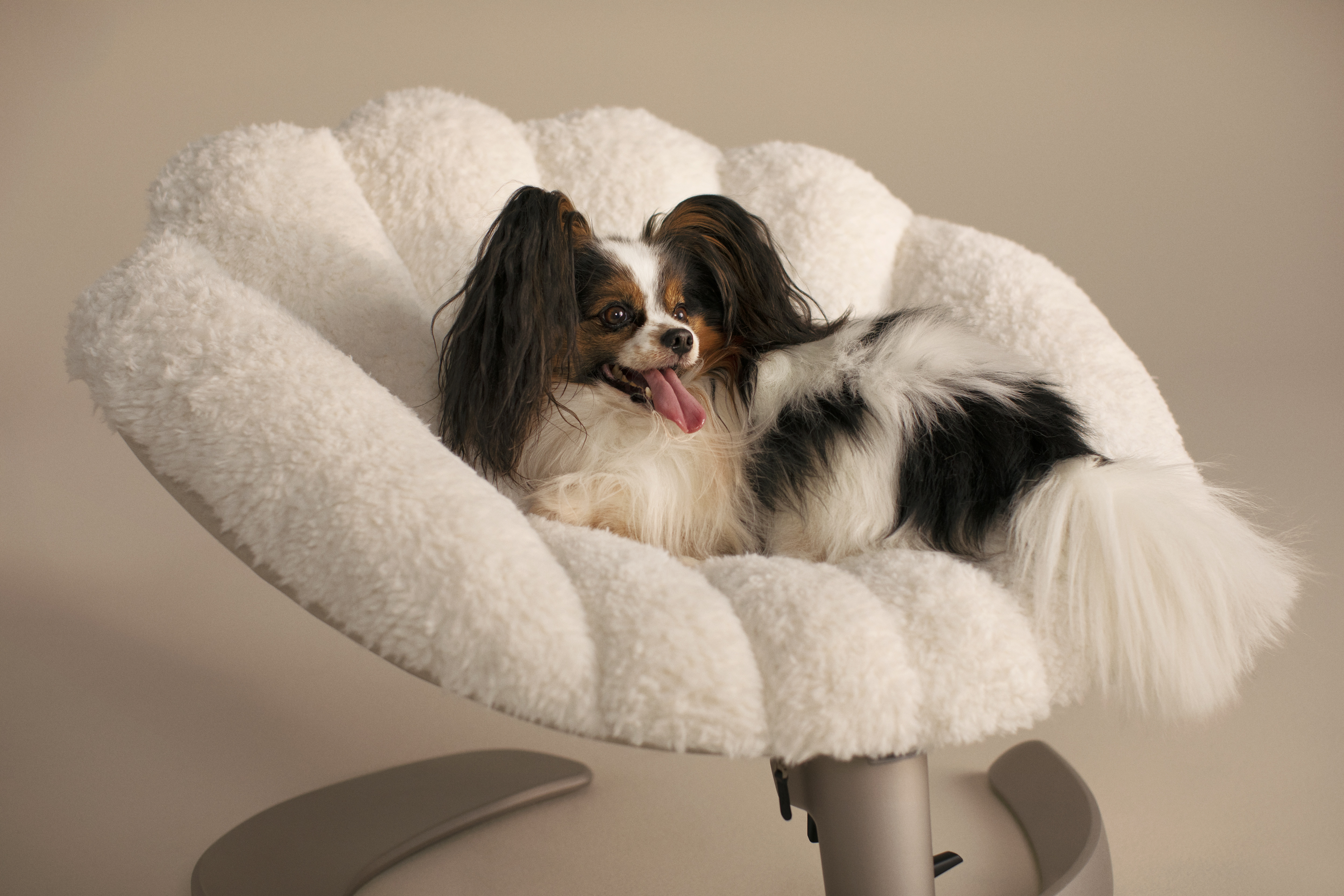 Tavo Pets Swaying Lounger and Pet Bed, Shell in Latte