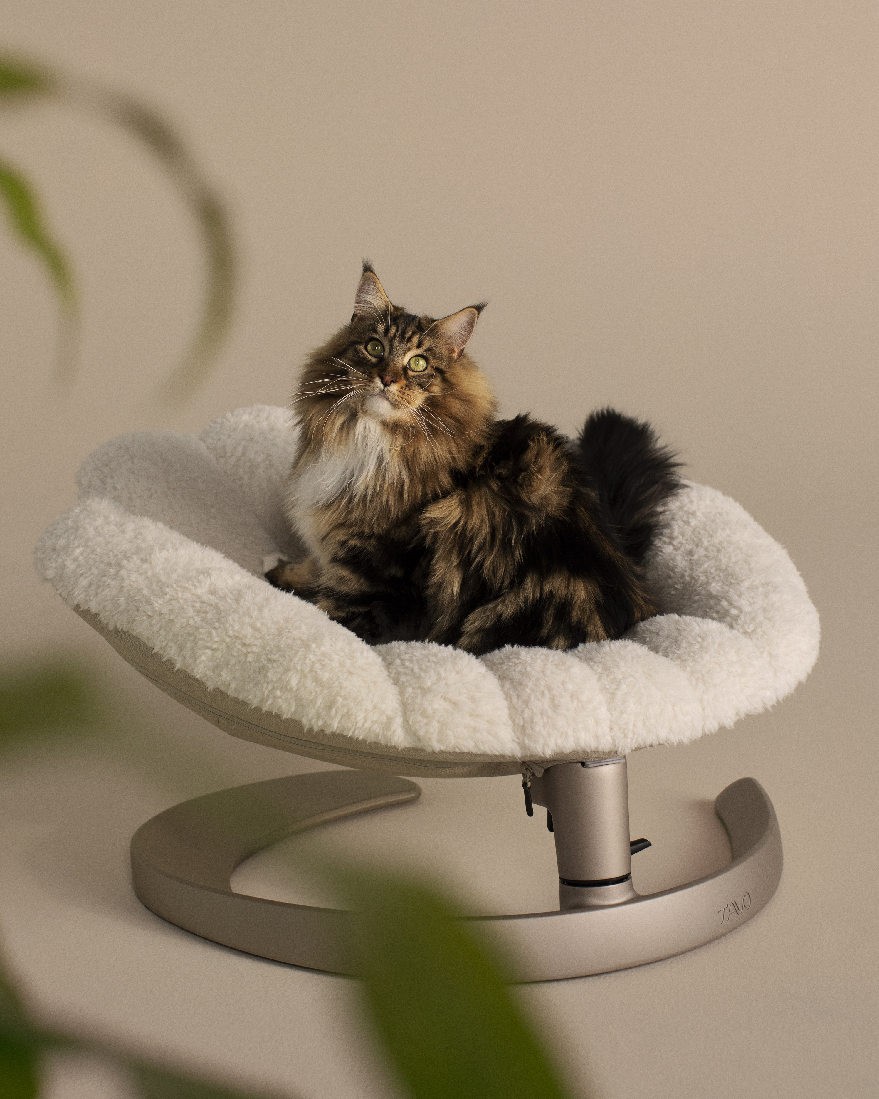 Tavo Pets Swaying Lounger and Pet Bed, Shell in Latte