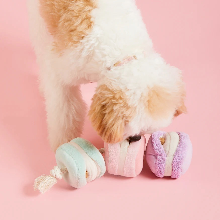 Squeaky Plush Interactive Snuffle Dog toys, Macarons