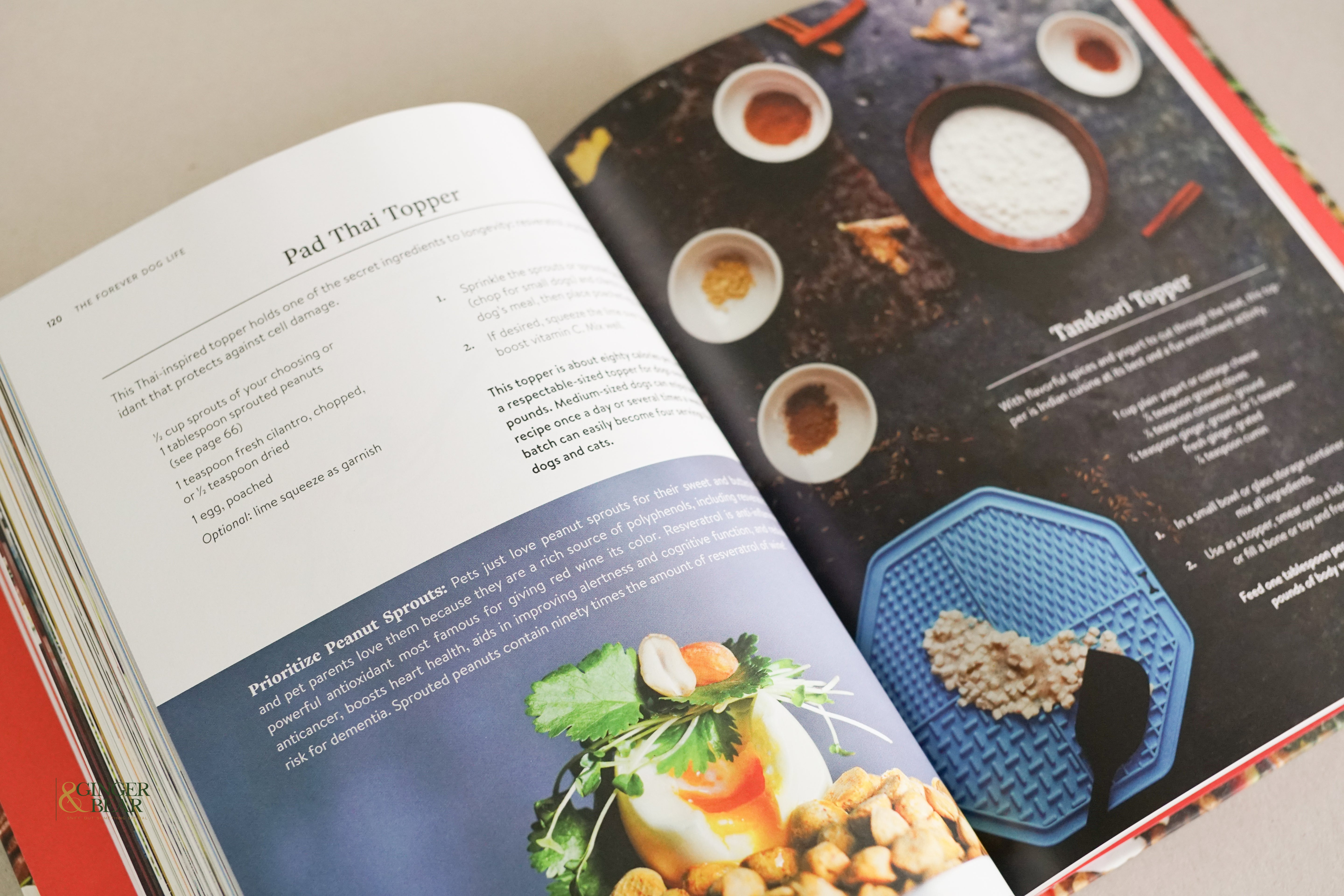 Book: The Forever Dog Life — 120+ Recipes & Longevity Tips (Hardcover, 2024)