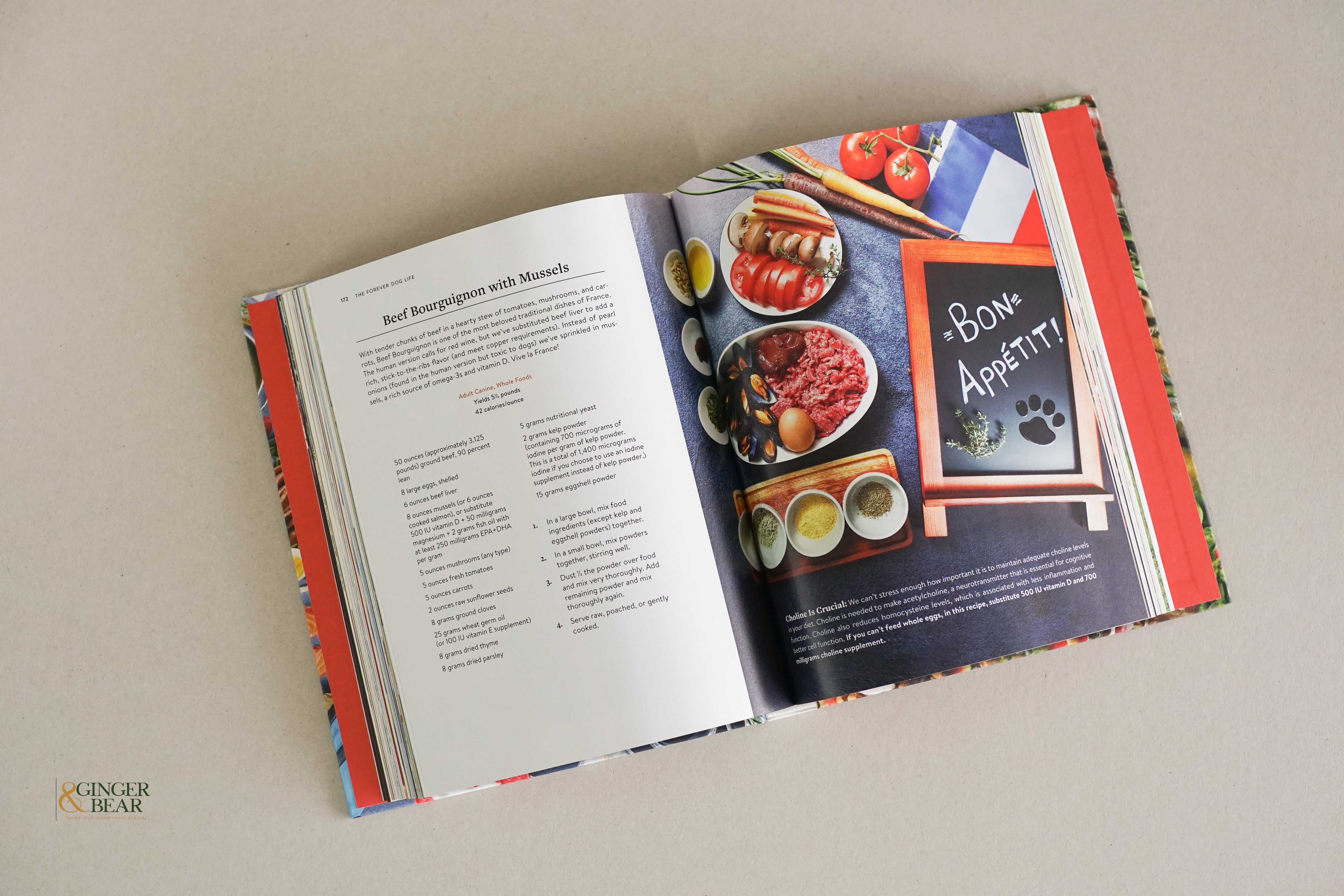 Book: The Forever Dog Life — 120+ Recipes & Longevity Tips (Hardcover, 2024)