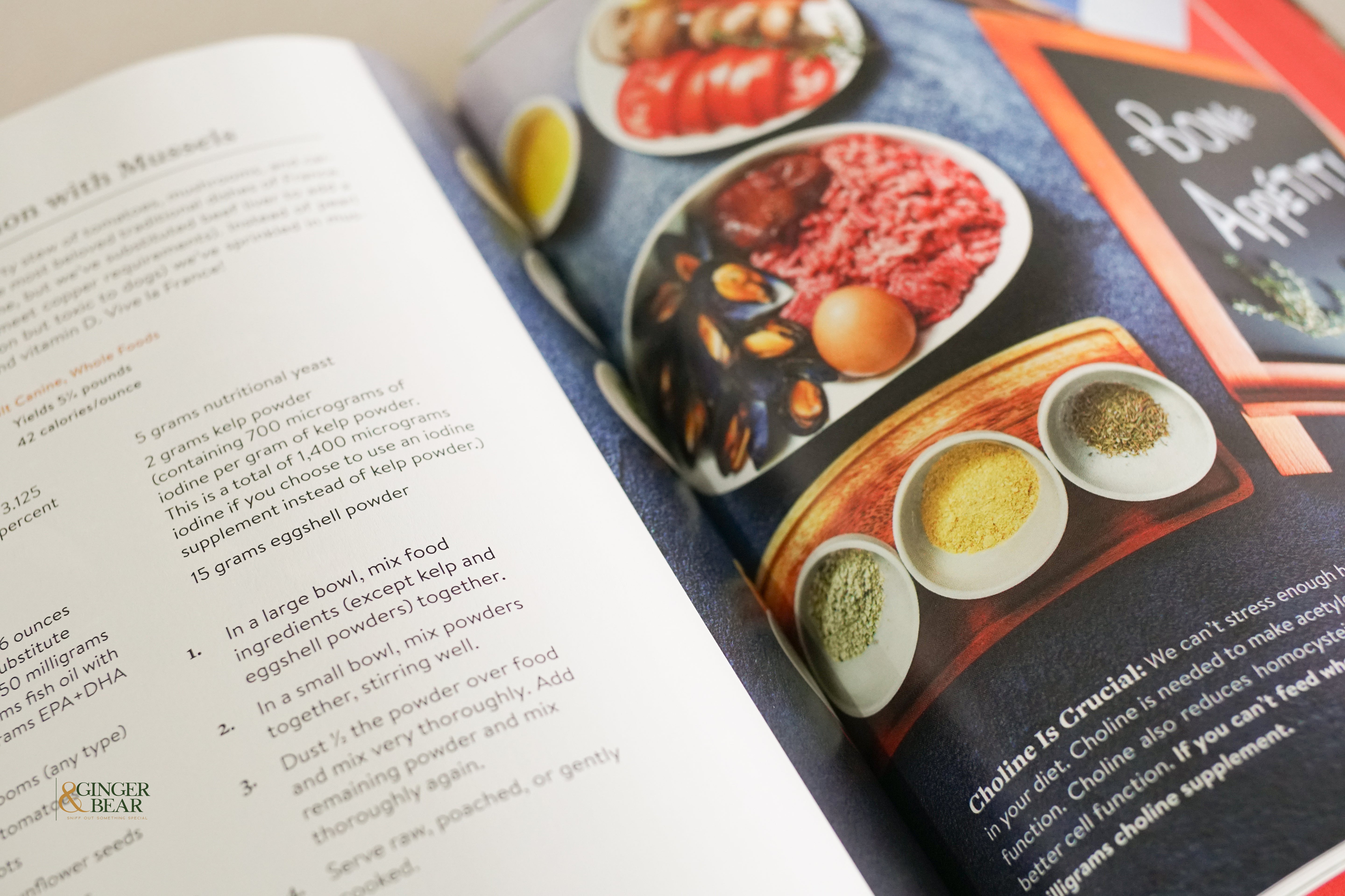 Book: The Forever Dog Life — 120+ Recipes & Longevity Tips (Hardcover, 2024)