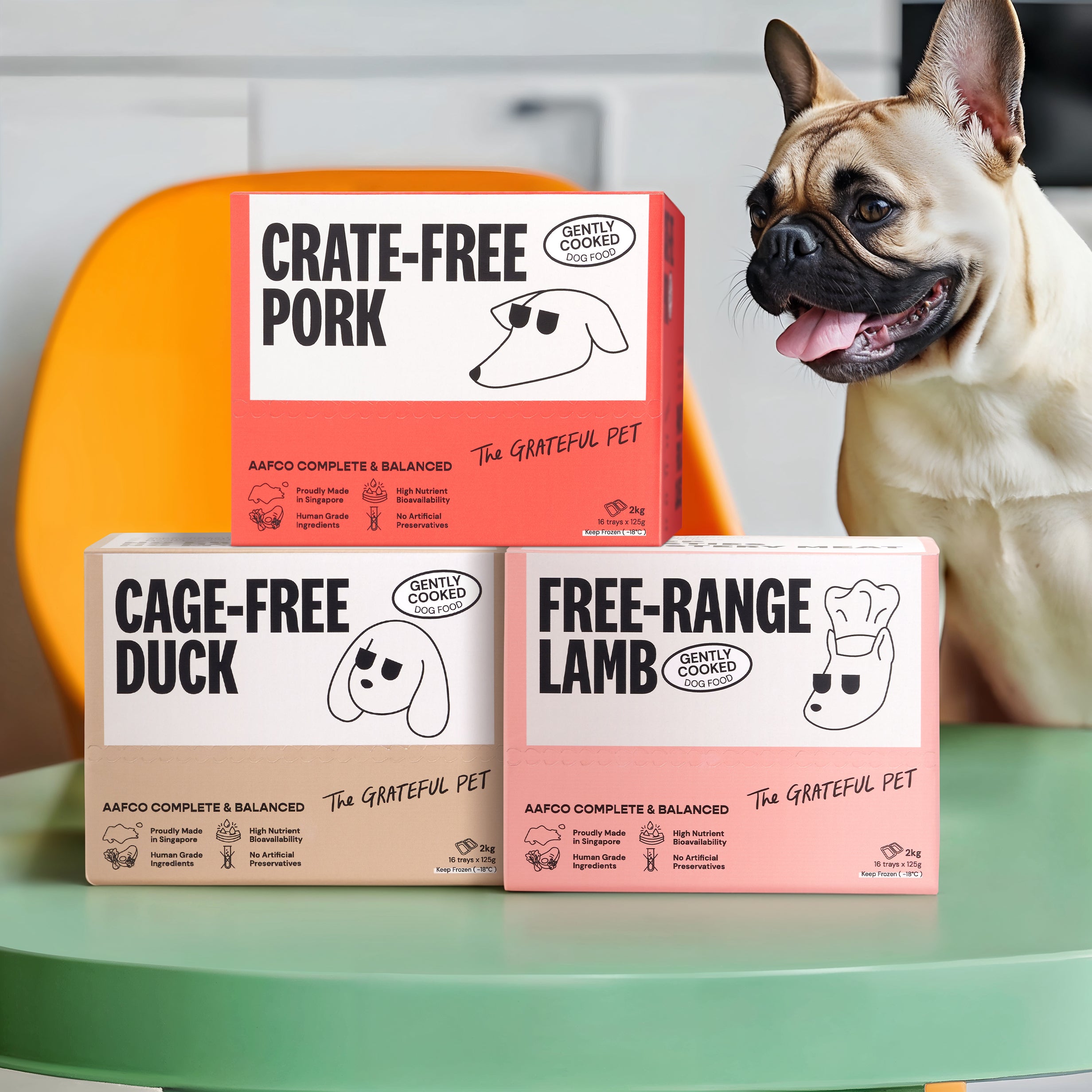 The Grateful Pet: Cooked Food for Dogs, Cage-free Duck