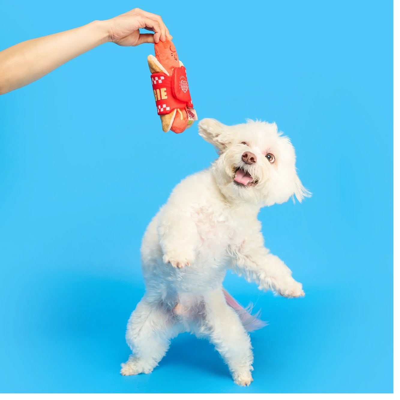 The Furryfolks Hot Doggie Dog Enrichment Toy | Squeaky Nosework Plush