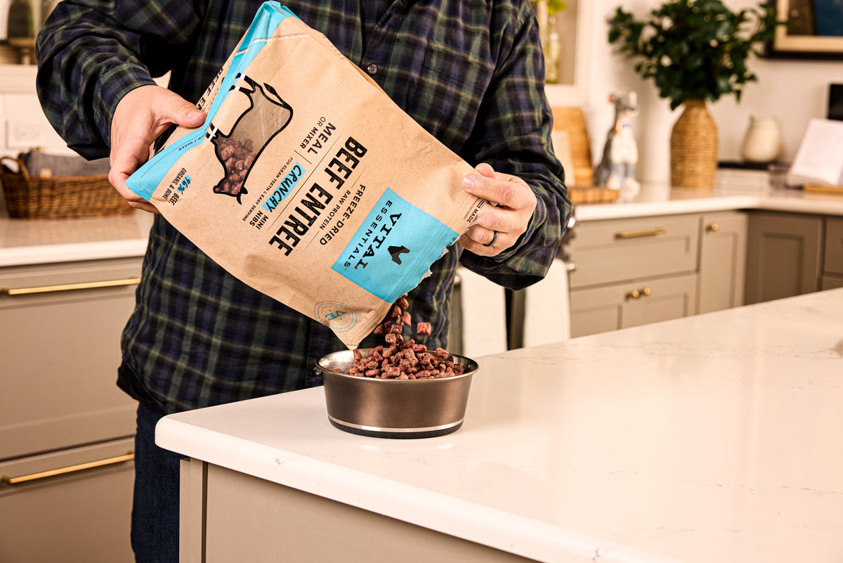 Vital Essentials nutrient rich butcher cut whole beef protein ingredients for healthy raw dog diet and muscle