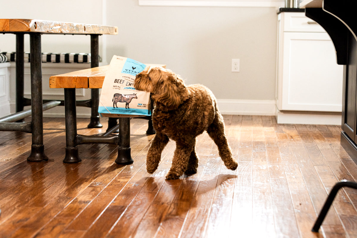 Vital Essentials nutrient rich butcher cut whole beef protein ingredients for healthy raw dog diet and muscle