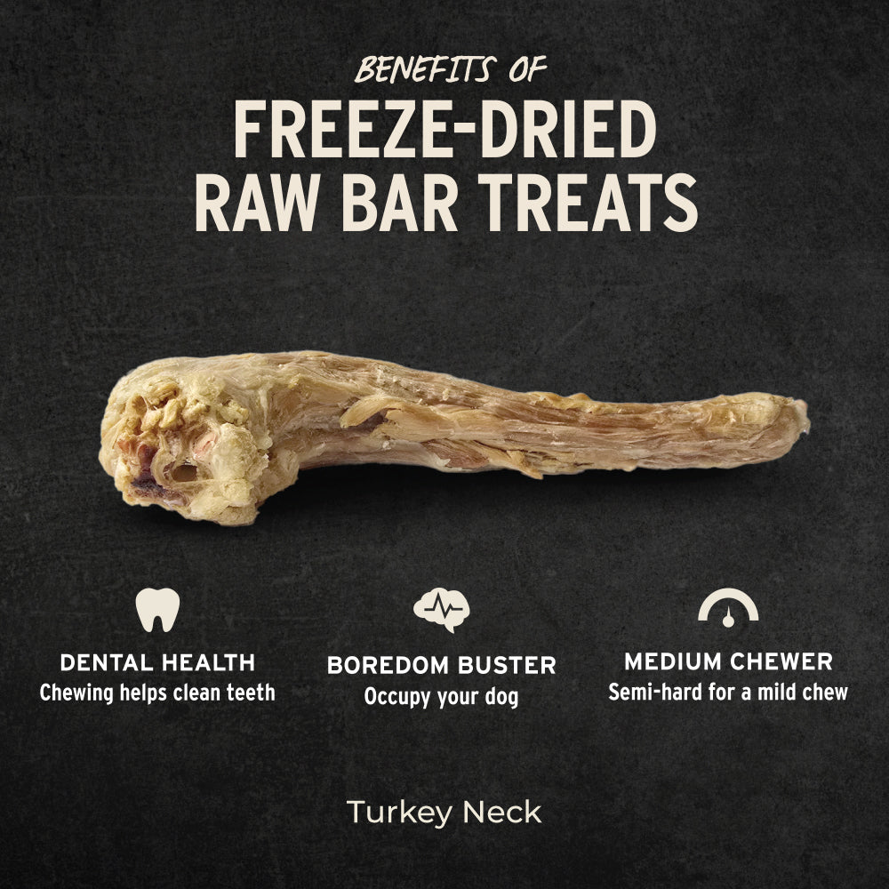 Vital Essentials premium single ingredient freeze-dried raw turkey neck chew for dogs.