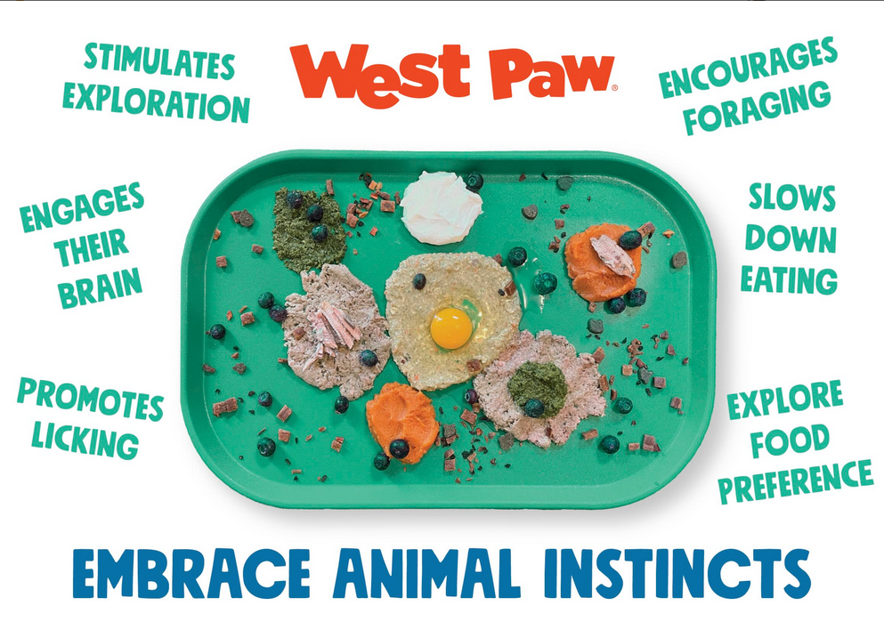 Dog Food and Drink Non-Slip Eco Sustainable Placemat: Seaflex Marine