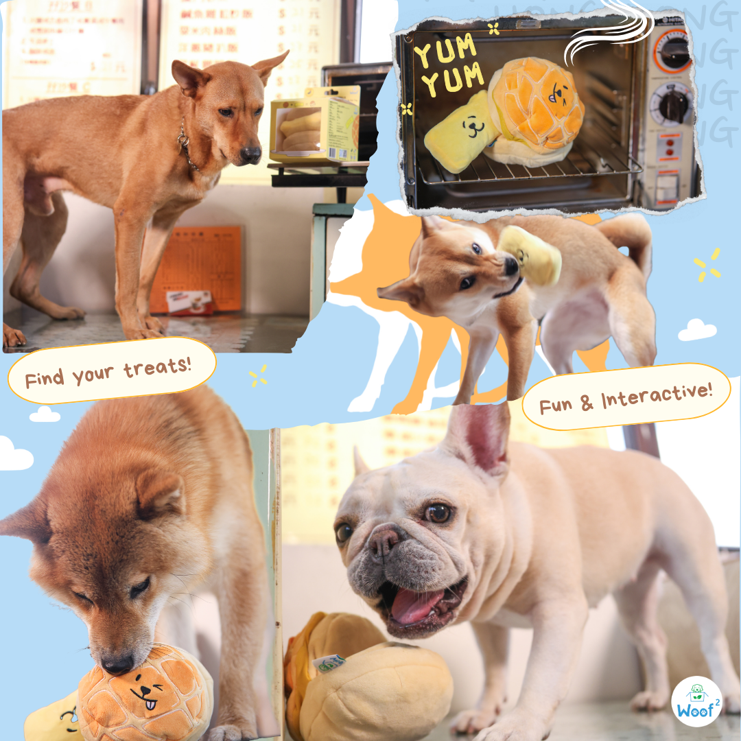 Woof² Buttered Pineapple Bun, Nosework Interactive Plush Dog Toy