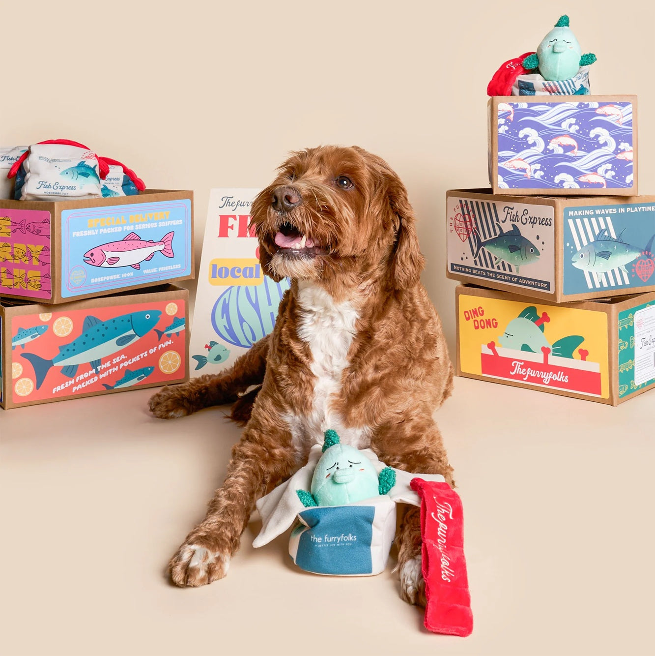 The Furryfolks Interactive Squeaky Dog Toy | Fish Express Nosework Puzzle