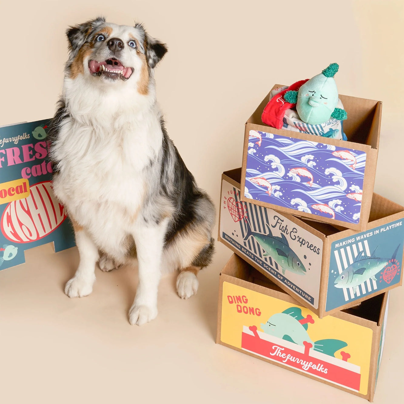 The Furryfolks Interactive Squeaky Dog Toy | Fish Express Nosework Puzzle