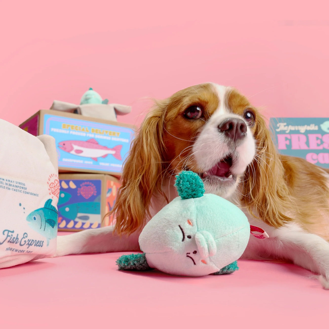 The Furryfolks Interactive Squeaky Dog Toy | Fish Express Nosework Puzzle