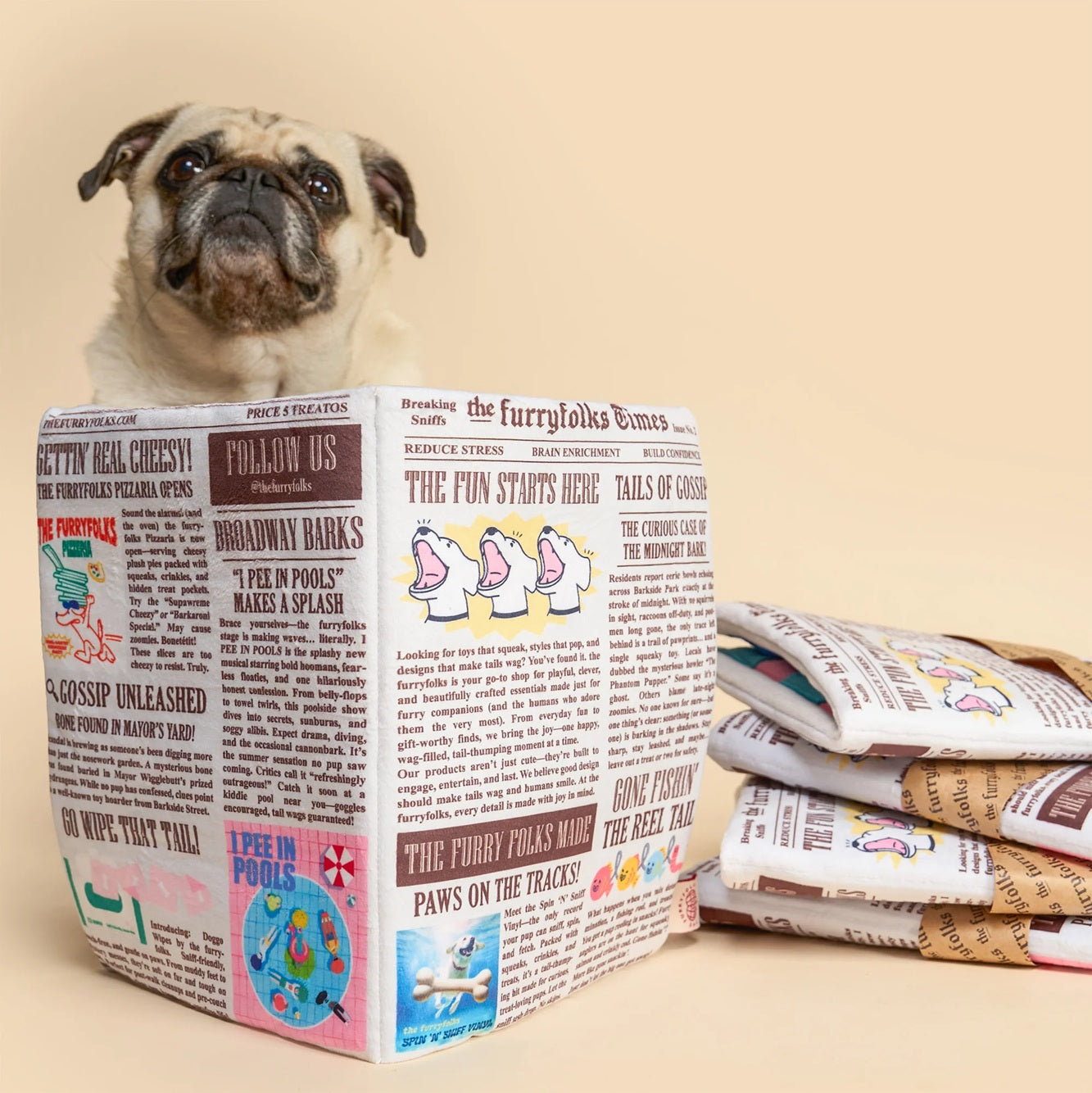 Squeaky newspaper-shaped soft toy for dogs, designed for interactive sniffing and treat hunting.