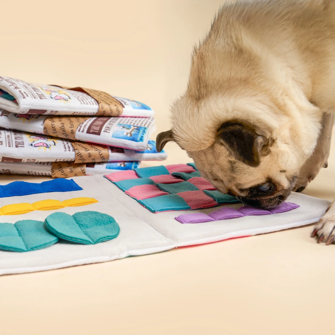 Squeaky newspaper-shaped soft toy for dogs, designed for interactive sniffing and treat hunting.