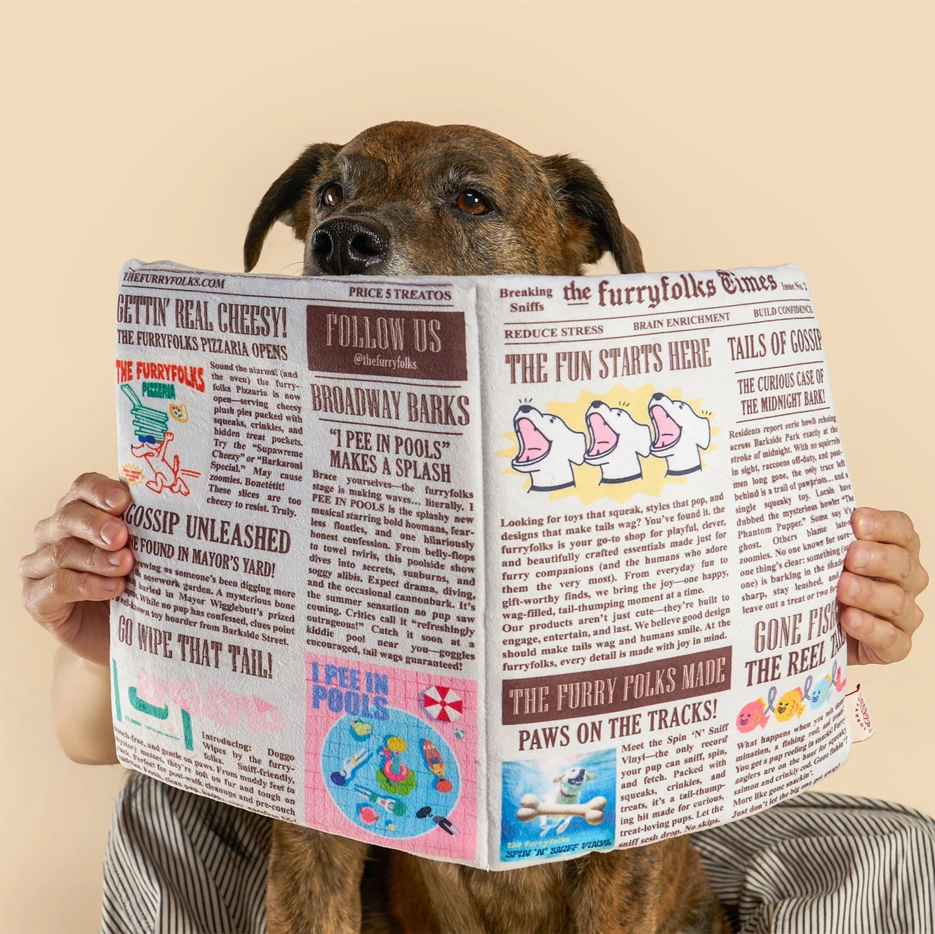Squeaky newspaper-shaped soft toy for dogs, designed for interactive sniffing and treat hunting.