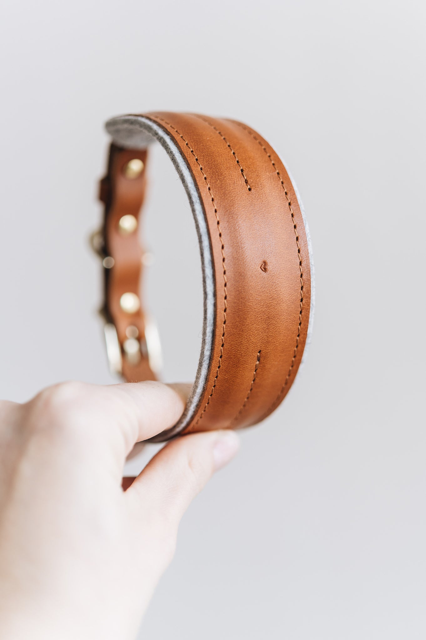 Pine Leather Dog Collar