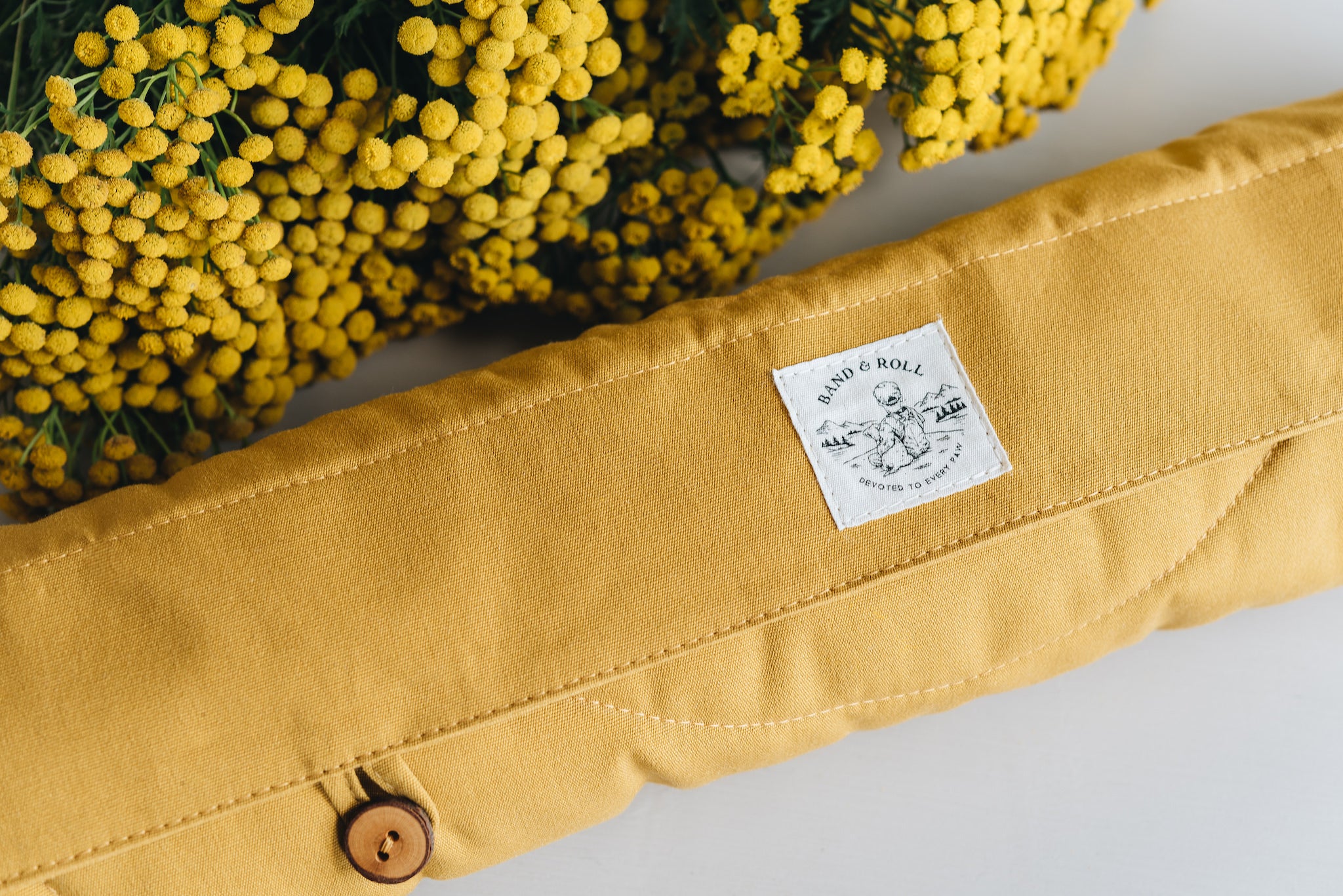 Band & Roll Compass Travel Dog Blanket | Lightweight & Portable