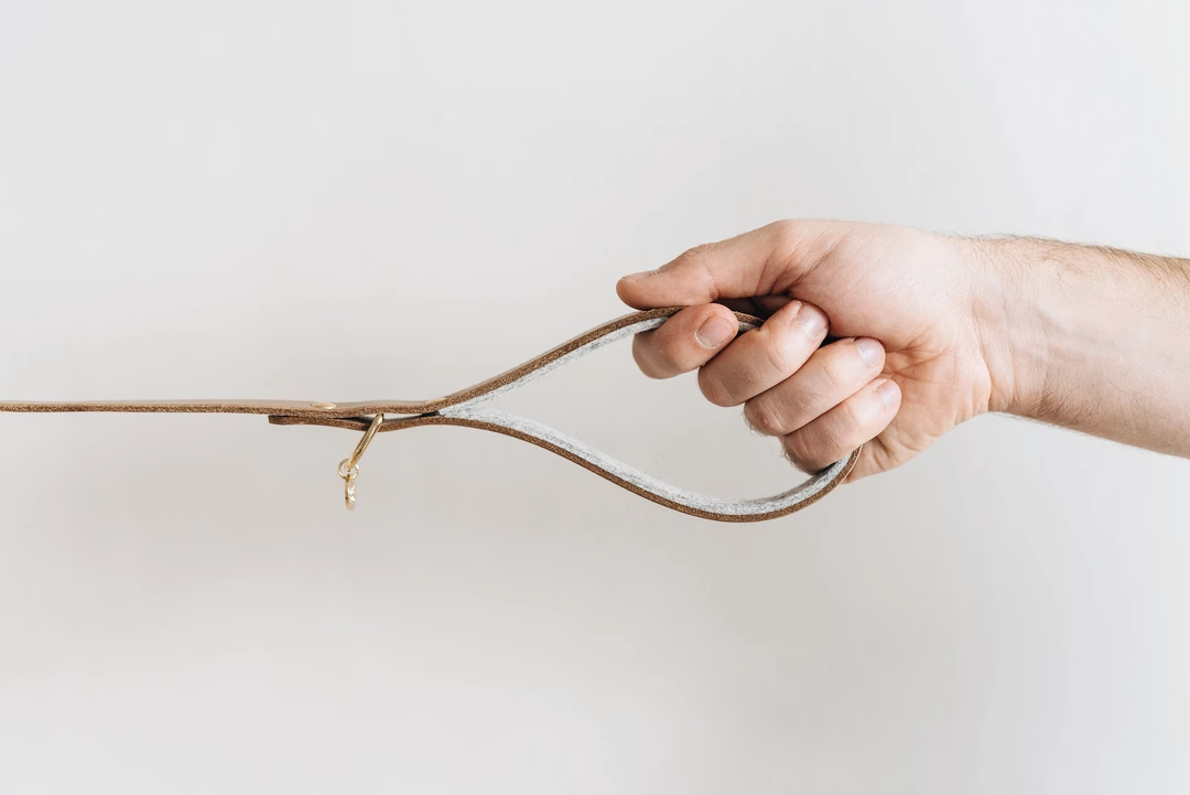 Band&Roll Hitch Leather Dog Leash Latte Brown Green Tan Black