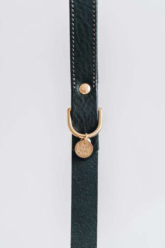 Band&Roll Hitch Leather Dog Leash Latte Brown Green Tan Black