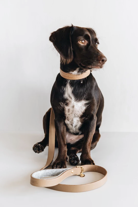 Band&Roll Hitch Leather Dog Leash Latte Brown Green Tan Black