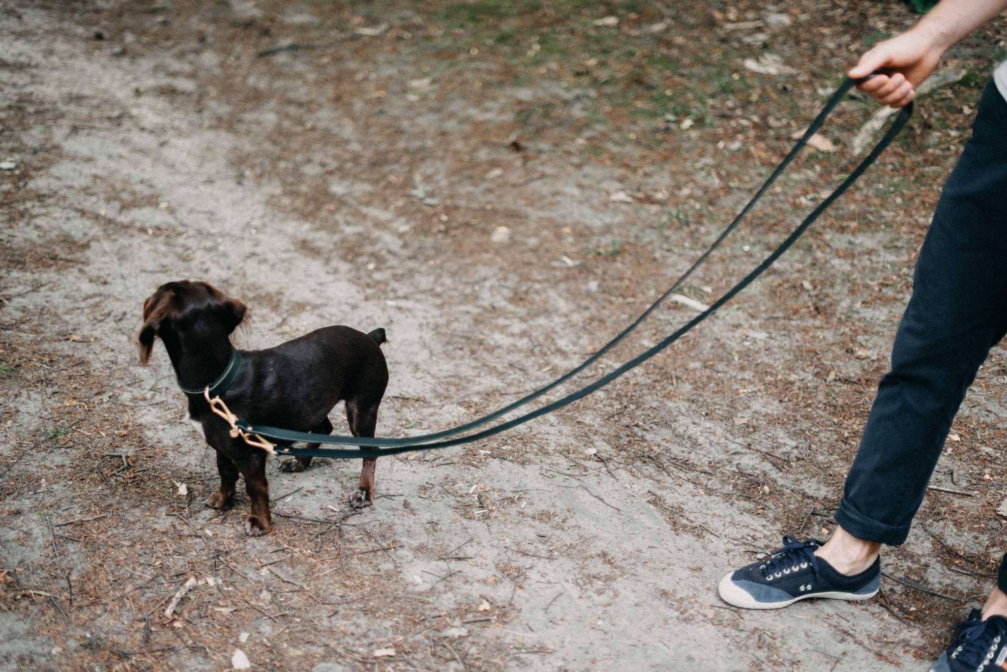 Lasso Leather Dog Leash