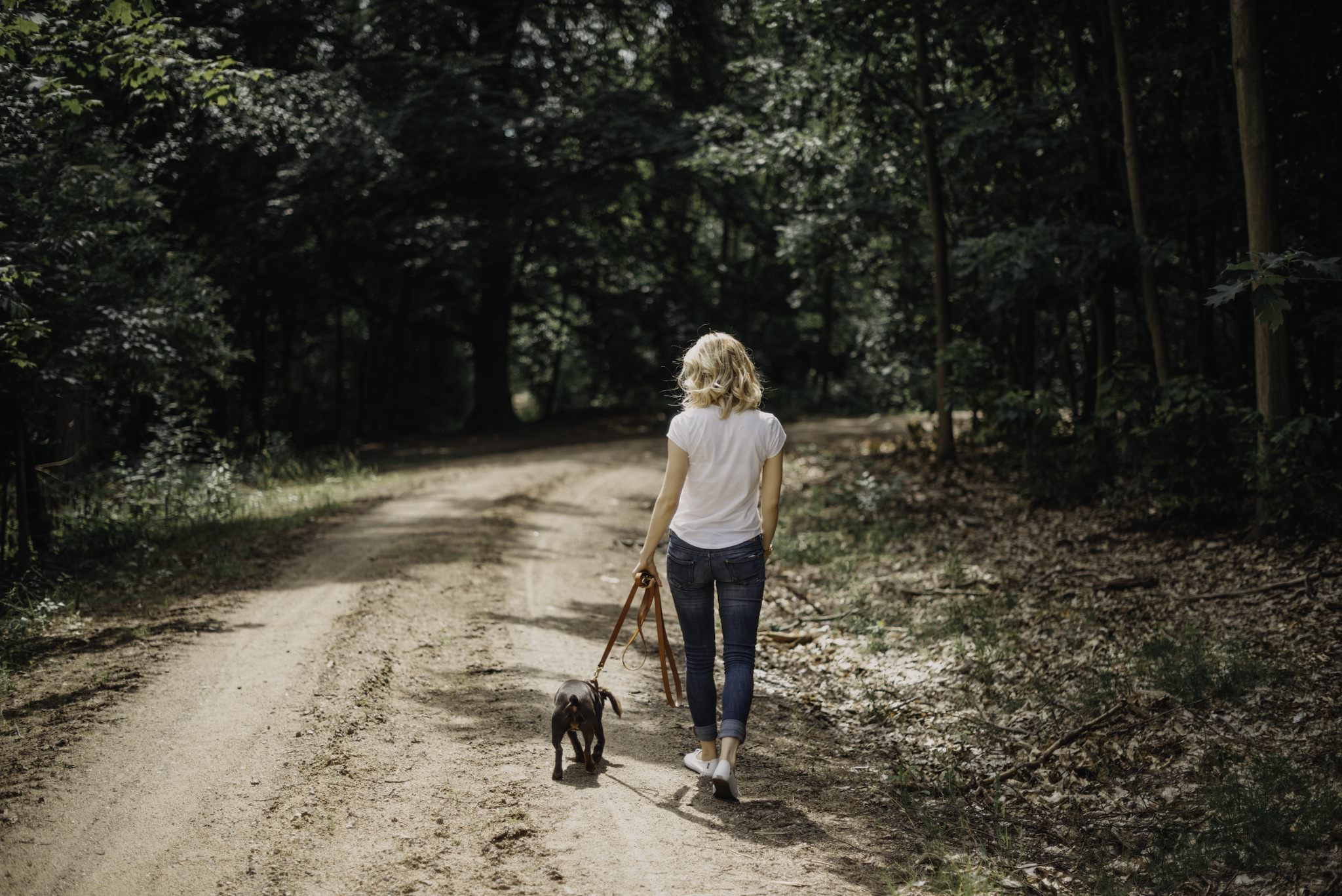 Lasso Leather Dog Leash