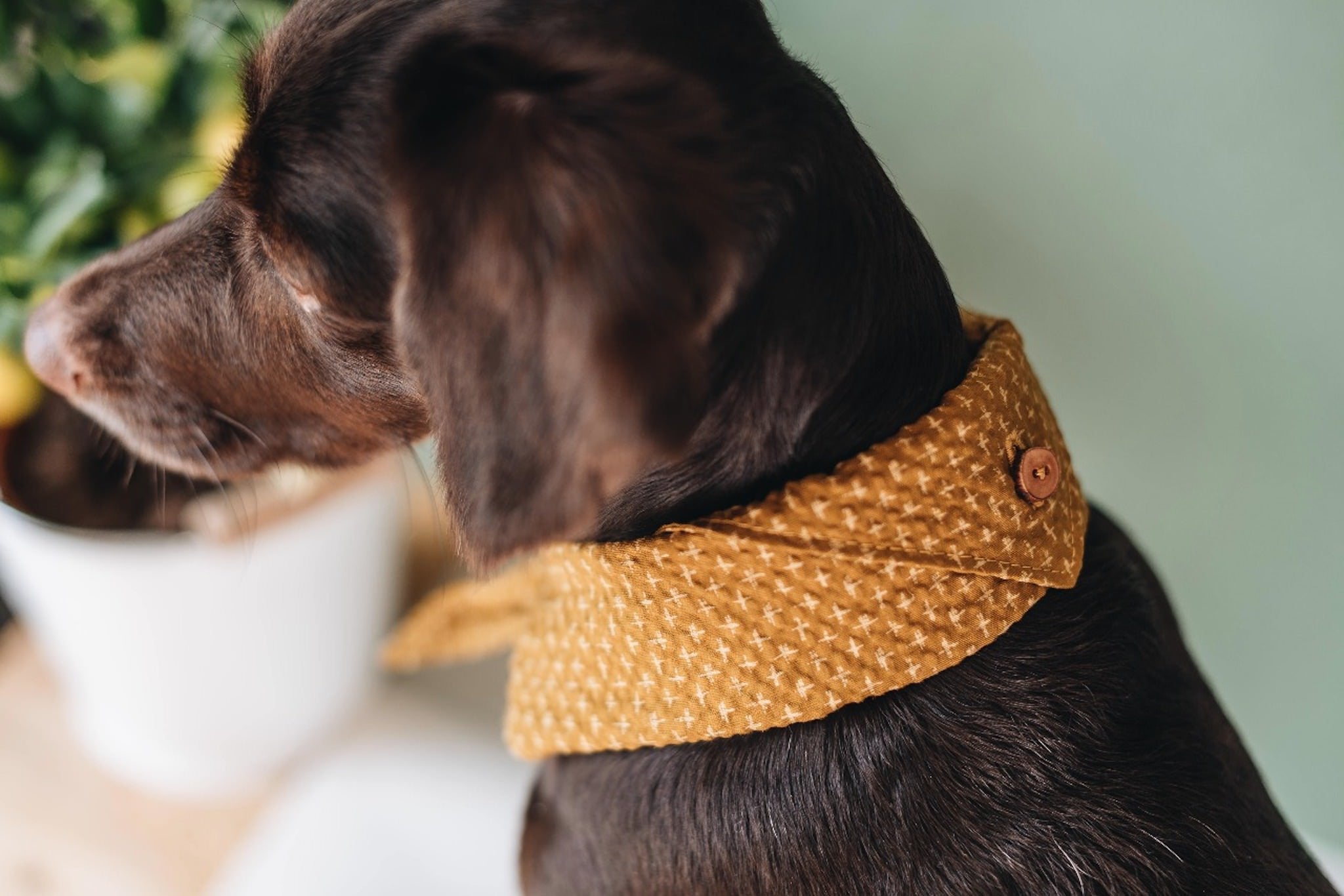 Tori Bandana for Dogs and Cats