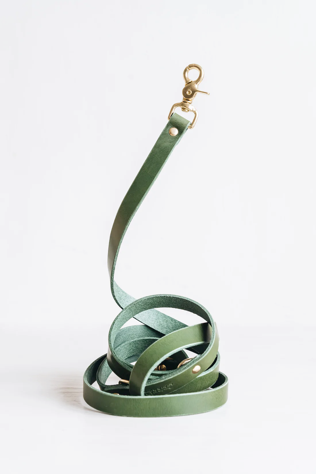 Lasso Leather Dog Leash