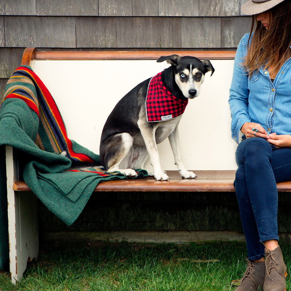 BillyWolf: Beau Bandana (FINAL SALE)